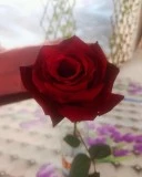 Servicii de calitate, - imagine 1