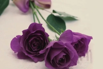 Discret, caut relatie cu beneficii si avantaj reciproc !