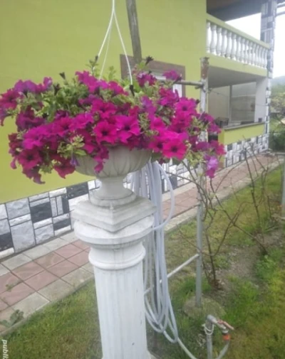 Bărbat serios caut partenera