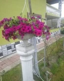 Bărbat serios caut partenera - imagine 1