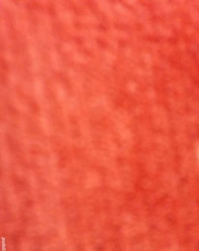 Doamne,domnisoare,cupluri