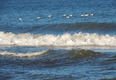 Supus si ascultator, total la dispozitia ta