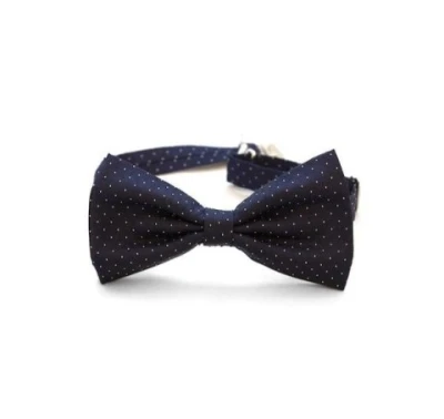 Pentru Doamne sau Domnisoare care doresc o relatie discreta.