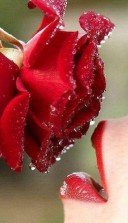 Pentru sotia ta, iubita ta o experienta extatica de cuplu - Masaj Tantric Yoni. - imagine 4