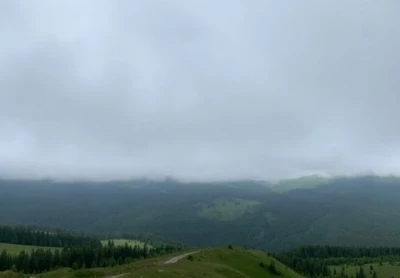 Tânăr, studii universitare, potent financiar