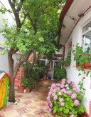 Gazdă Colentina - imagine 5