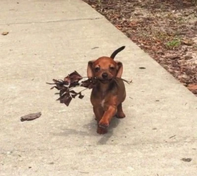 Prieteni cu beneficii