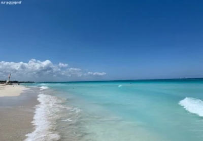 Esti fată, vrei un tip educat care sa aiba grija de tine?