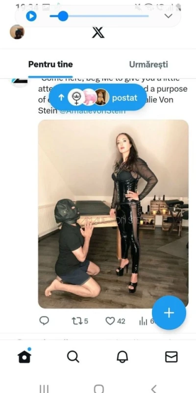 Sclav caut stapina pentru dominare