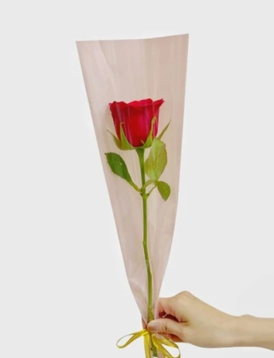 Tanar , dragut , sociabil , generos, educat, caut doamna sau domnisoara pentru intalniri periodice