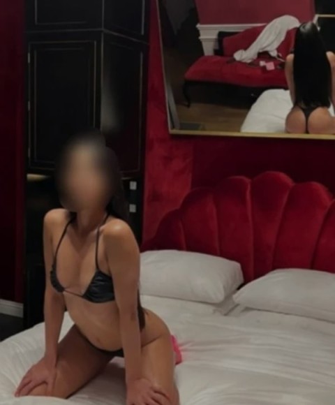 New Alexandria Nouă In Orașul tău !!!