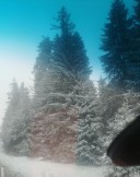 Relație , valabil doar pentru doamne sau domnisoare - imagine 2