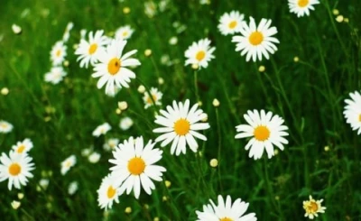 Relatie de prietenie si multe alte lucruri frumoase!