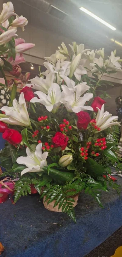 Caut cuplu sa femei doar din placere ...