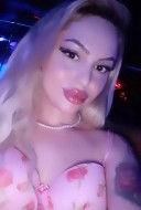 Web cam și clipuri video - imagine 3