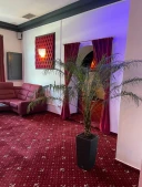 Deea_15deea - imagine 2