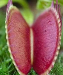 Barbat, 39 ani-Iasi - imagine 1