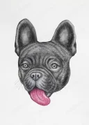 Nou in oraș - imagine 1