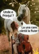 Cuplu dornic de experiente noi suntem fara experienta - imagine 2