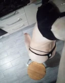 Transexuala nimfomana servicii totale,nu ezitati sa ma sunati - imagine 2