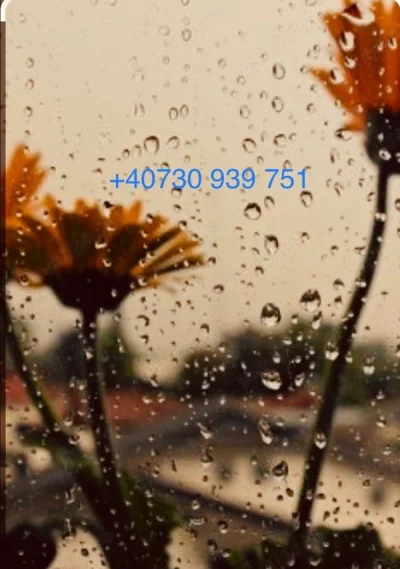 Anunț doar pentru doamne și domnișoare