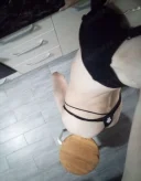 Transexuală nimfomana,servicii totale,poză 100% reale - imagine 3