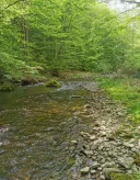 Offroad Funn - imagine 1