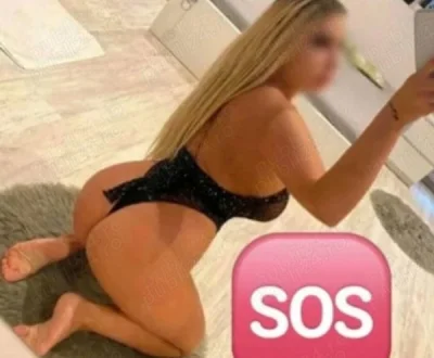 New New fac si deplasari Doua zile la voi in oras