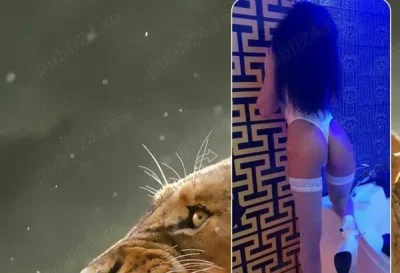 Noua in Bucuresti pentru 14 zile Sectorul 1