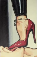 Doamna domnidoara dominanta - imagine 1