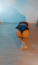 Nouă în oraș la tine fac și deplasări - imagine 2