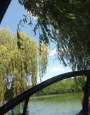 Doar pentru Doamne si Domnisoare - imagine 1