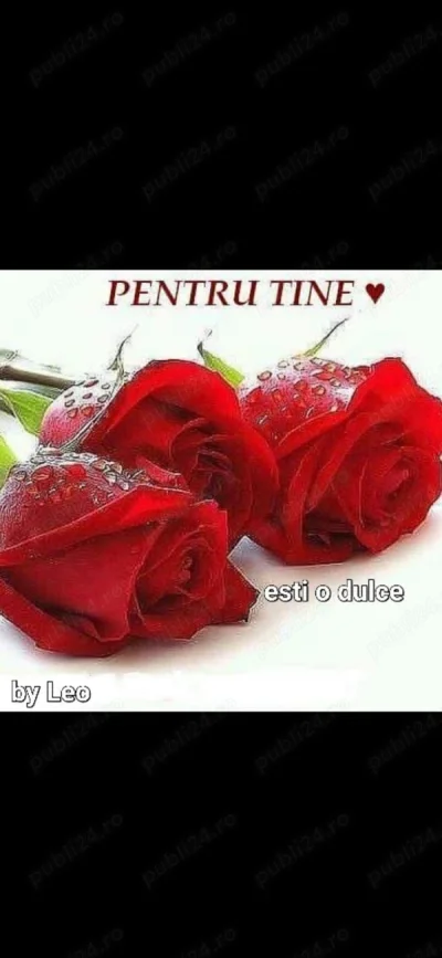 Domn drăguț și discret