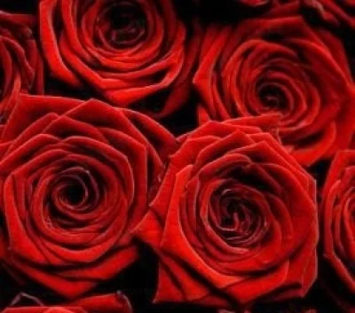 Barbat 43 ani caut o relatie discreta