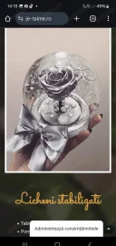 Satisfac doamne si domnisoare ..si cupluri.. - imagine 1