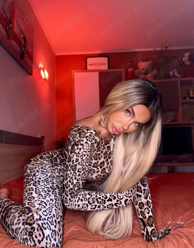 Translux VIP AidaThorry