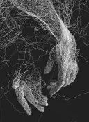 Relatie discreta - imagine 1