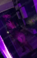 Escorta in orasul tau - imagine 3