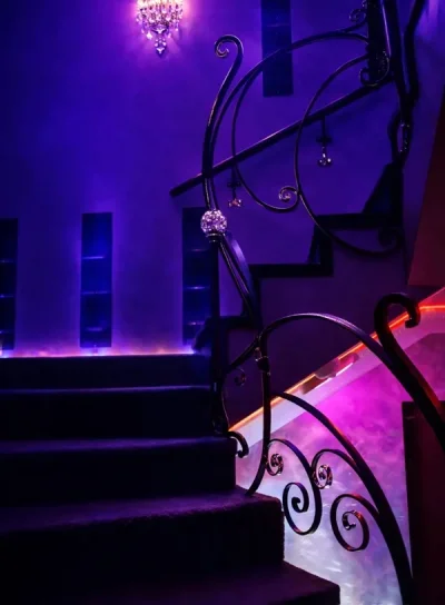 Placere autentica - Anais