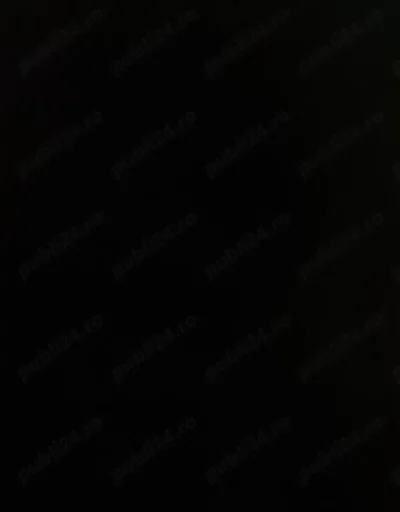 Doamne și Domnișoare