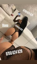 Noua in oras doar pentru cateva zile - imagine 2