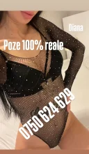 Noua in oras doar pentru cateva zile - imagine 8