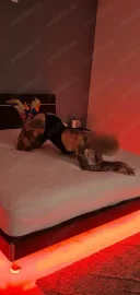 Matura 42 ani - Pipera - imagine 3