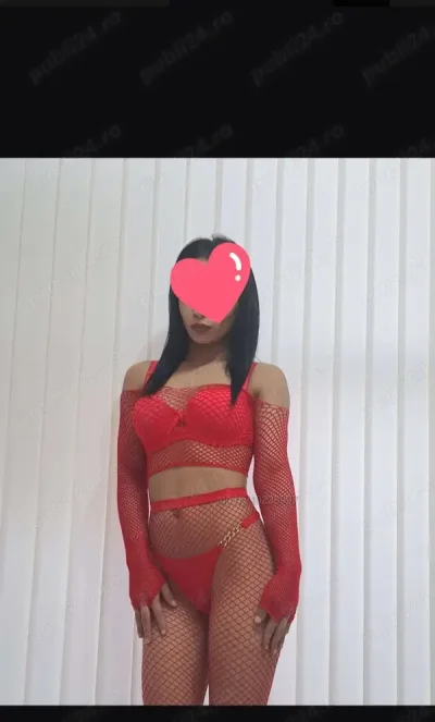 Servicii totale andreea