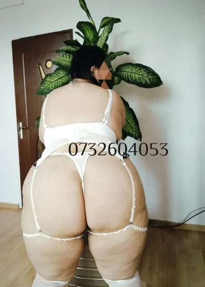 Show web videoclipuri pe wapp