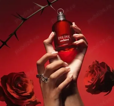 Relatie discreta cu o domnisoara