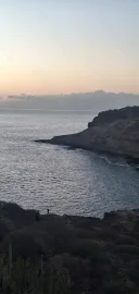 Domn matur - imagine 1