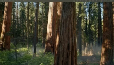 Matrimoniale Gay Lesbi - editat - repostare automata x5. - lasati in WTFC highlight editate 2