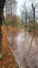 Relația romantică discretă - imagine 1