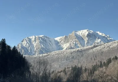 Caut o tanara pentru o relatie frumoasa la un alt nivel